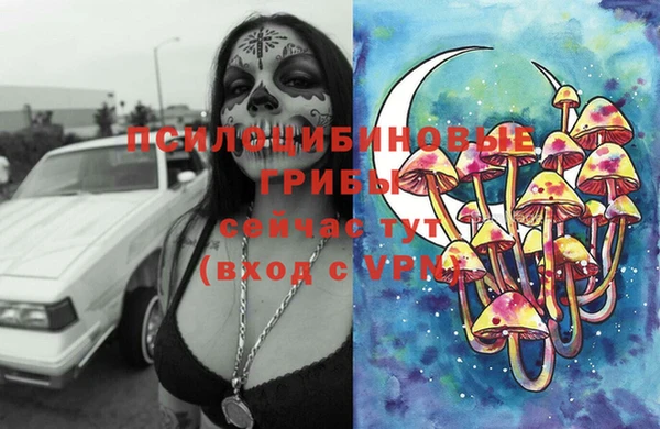 кокс Гусь-Хрустальный