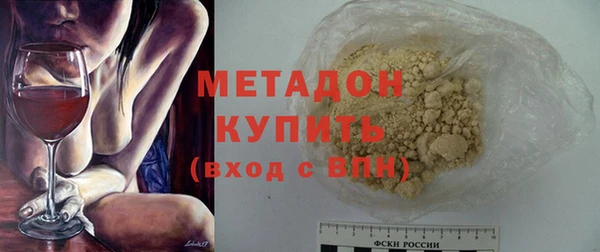 прущие грибы Наволоки
