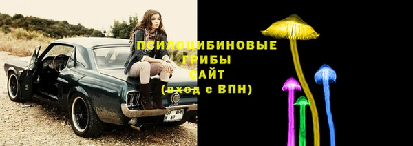 индика Новозыбков