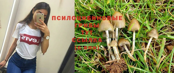 кокс Гусь-Хрустальный