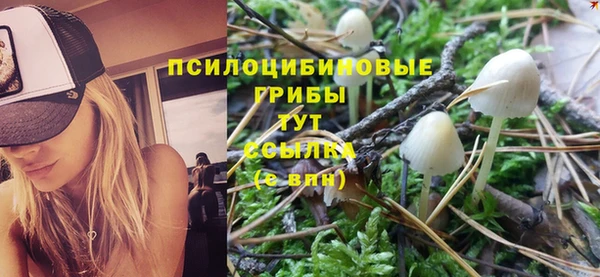 а пвп мука Надым