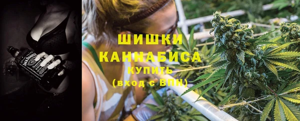 прущие грибы Усинск