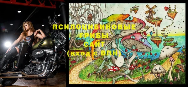 кокс Гусь-Хрустальный