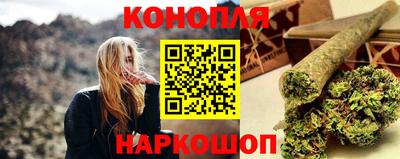 индика Будённовск