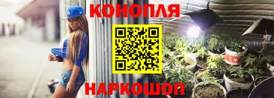 прущие грибы Волгодонск