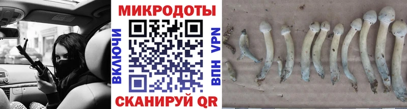 OMG онион  Гуково  Галлюциногенные грибы мицелий 