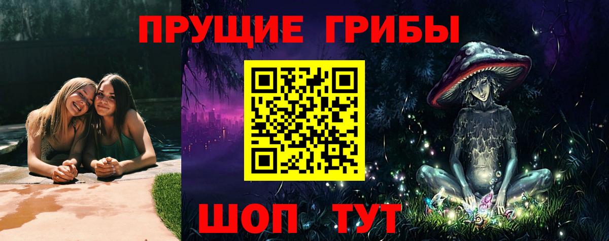 Псилоцибиновые грибы GOLDEN TEACHER  Вход с VPN  Гуково 