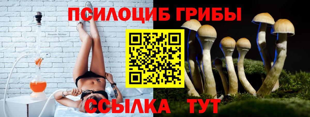 Псилоцибиновые грибы GOLDEN TEACHER  где купить наркотик  Гуково 